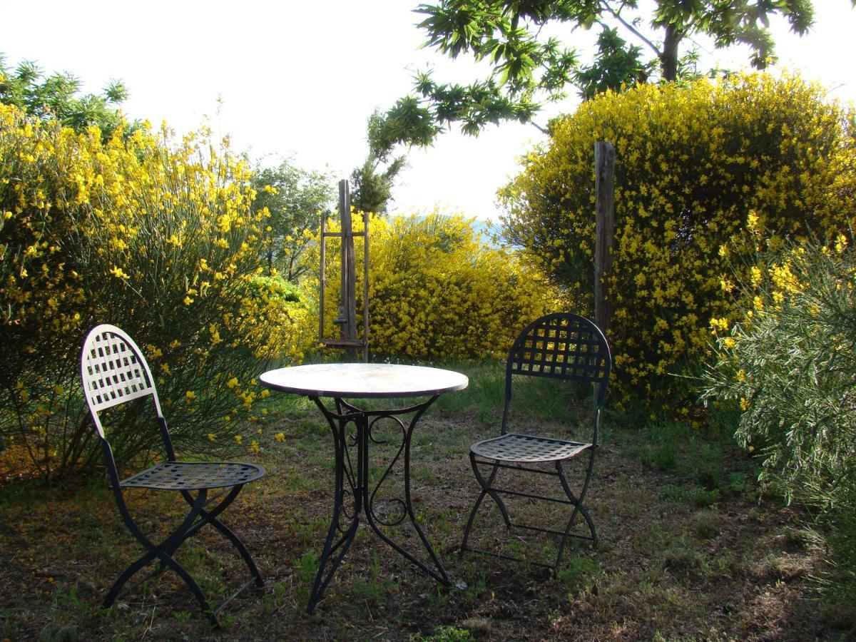 Borgo Tepolini Country House Castel del Piano  Luaran gambar