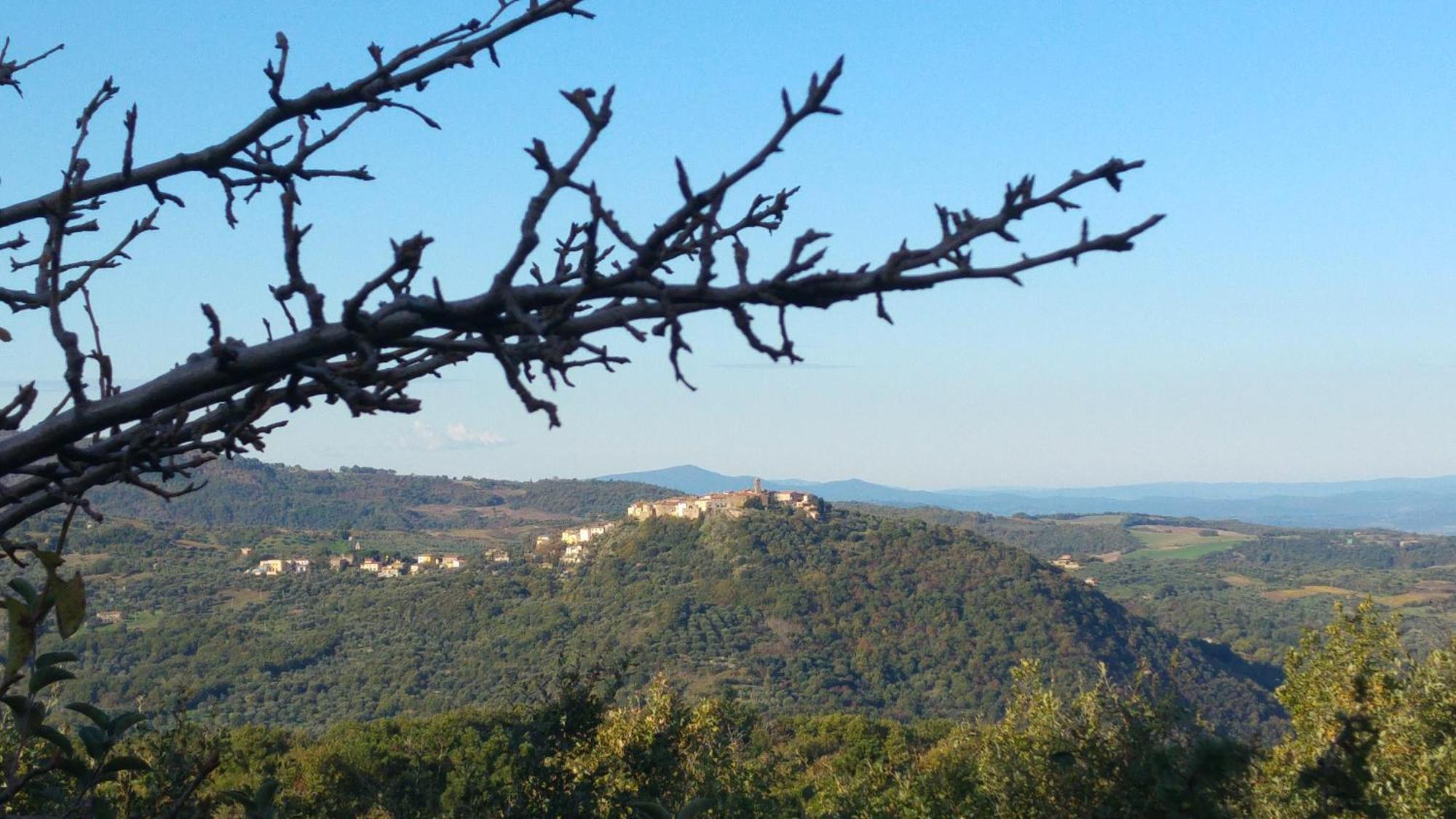 Borgo Tepolini Country House Castel del Piano  Luaran gambar